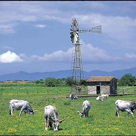 La Pulledraia